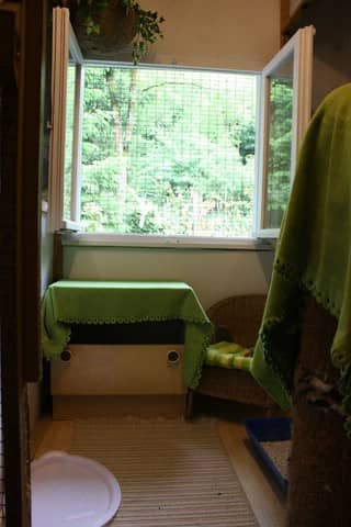 Ein eigenes Zimmerchen mit Fenster
